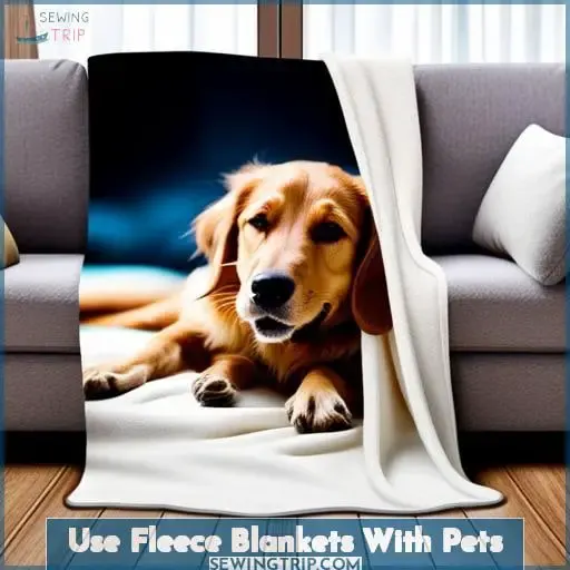 Use Fleece Blankets With Pets