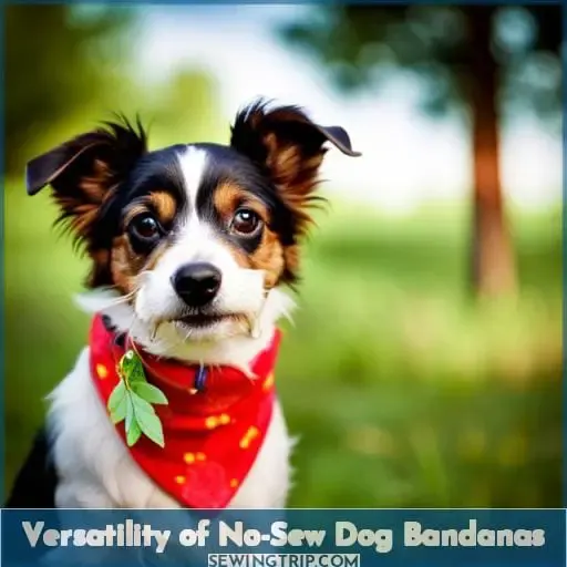 Versatility of No-Sew Dog Bandanas