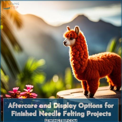 Aftercare and Display Options for Finished Needle Felting Projects