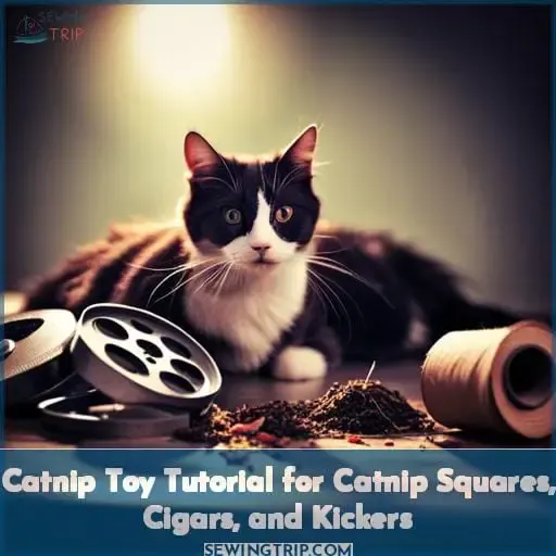 Catnip Toy Tutorial for Catnip Squares, Cigars, and Kickers