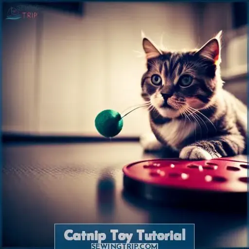 Catnip Toy Tutorial