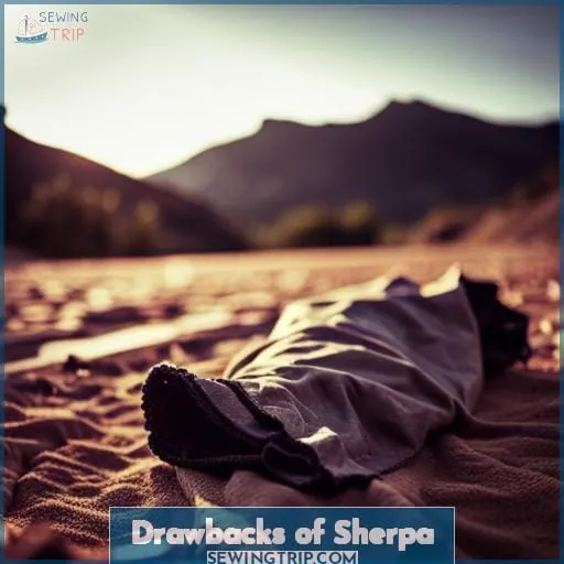 Drawbacks of Sherpa