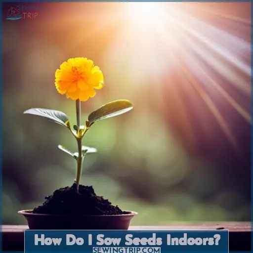 How Do I Sow Seeds Indoors