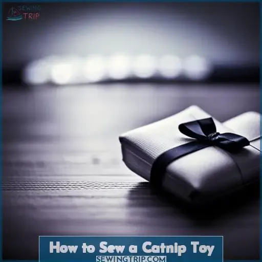 How to Sew a Catnip Toy