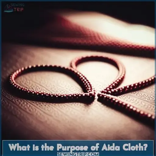 What is the Purpose of Aida Cloth