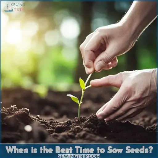 When is the Best Time to Sow Seeds