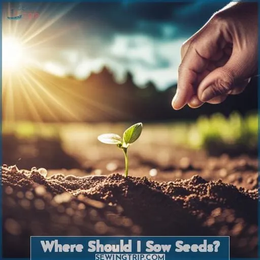 Where Should I Sow Seeds
