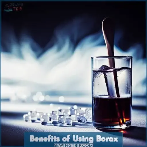 Benefits of Using Borax