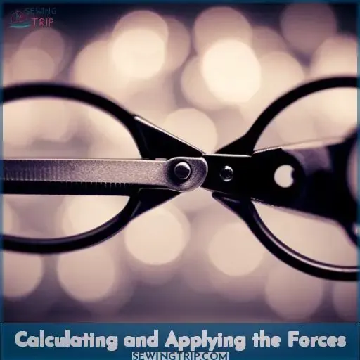 Calculating and Applying the Forces