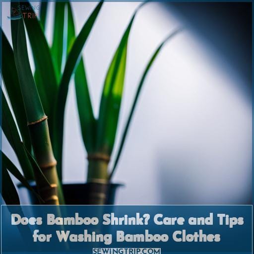 Does Bamboo Shrink? Care and Tips for Washing Bamboo Clothes