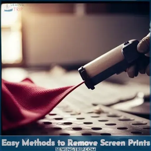 Easy Methods to Remove Screen Prints