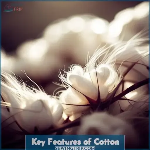 Key Features of Cotton
