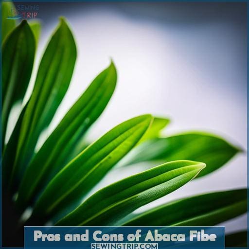 Pros and Cons of Abaca Fibe