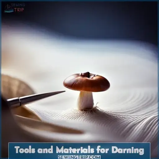 Tools and Materials for Darning