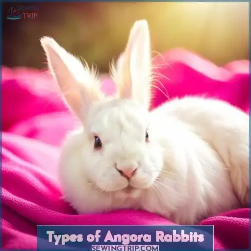 Types of Angora Rabbits
