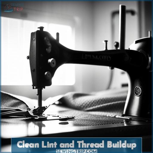 Clean Lint and Thread Buildup