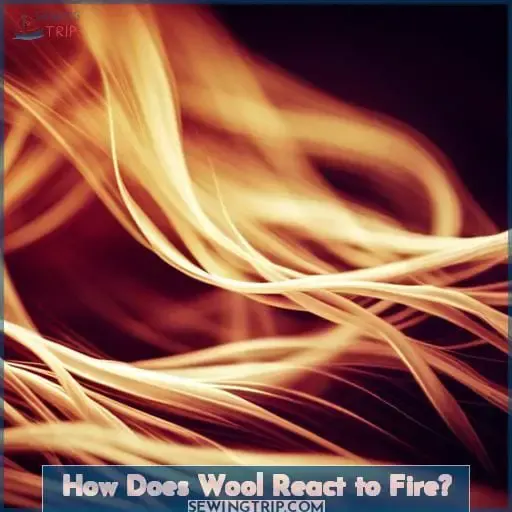 How Does Wool React to Fire
