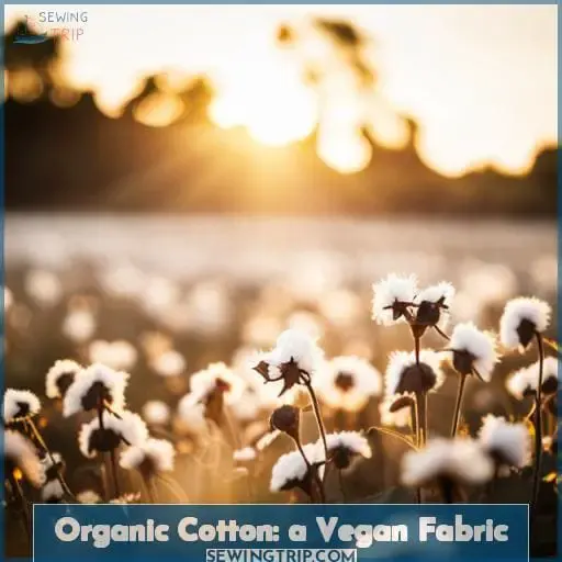 Organic Cotton: a Vegan Fabric