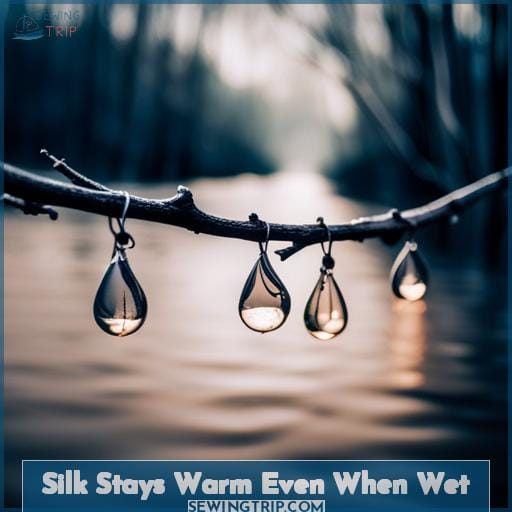 Silk Stays Warm Even When Wet Silk Stays Warm Even When Wet