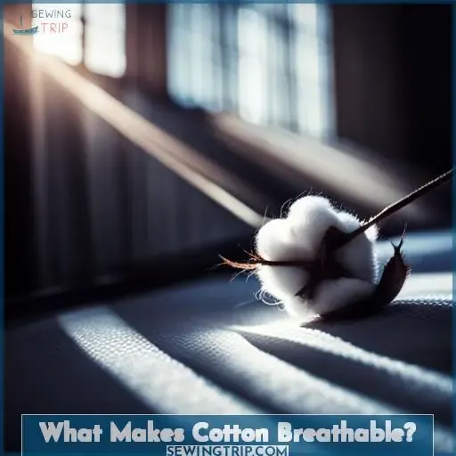 What Makes Cotton Breathable