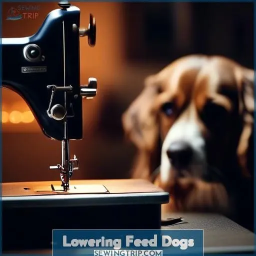 Lowering Feed Dogs