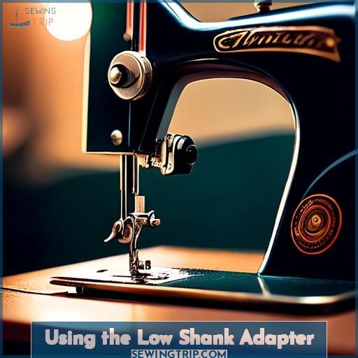 Using the Low Shank Adapter