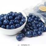 Blue Chocolate Covered Blueberries (1 B003J9QBZ2