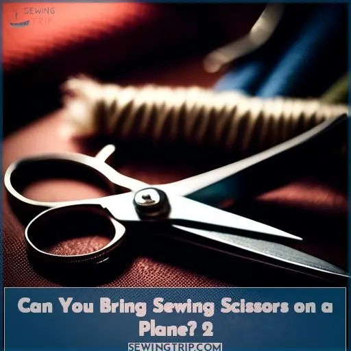 Can You Bring Sewing Scissors on a Plane 2