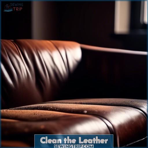 Clean the Leather Clean the Leather