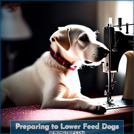 Preparing to Lower Feed Dogs