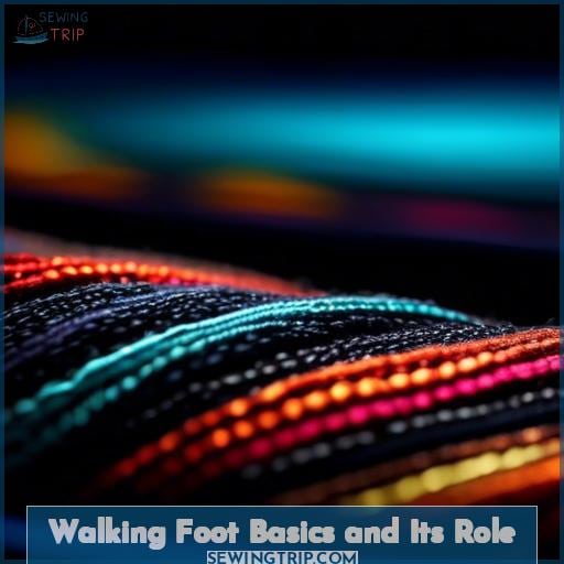 Walking Foot Basics and Its Role Walking Foot Basics and Its Role
