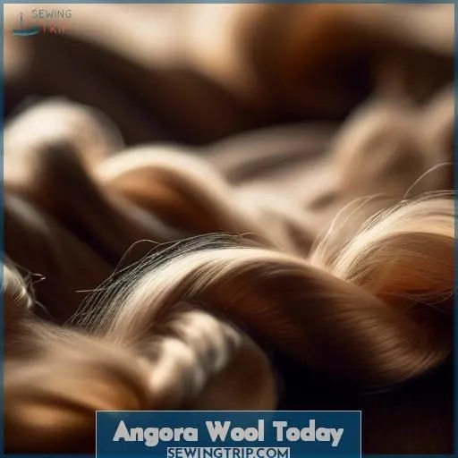 Angora Wool Today