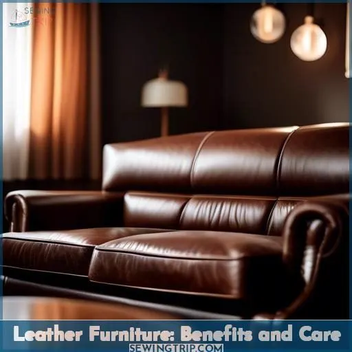 Leather Furniture: Benefits and Care
