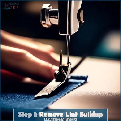 Step 1: Remove Lint Buildup