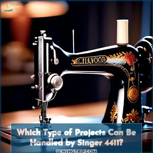 Which Type of Projects Can Be Handled by Singer 4411