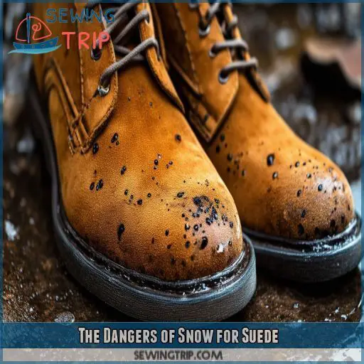 The Dangers of Snow for Suede The Dangers of Snow for Suede