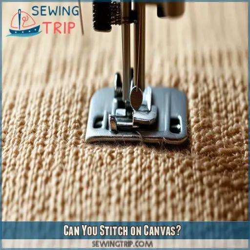 Can You Stitch on Canvas