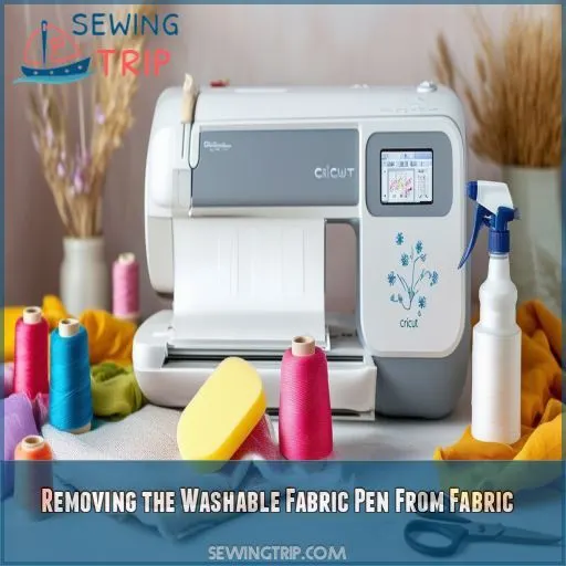 Removing the Washable Fabric Pen From Fabric