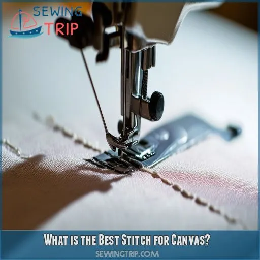 What is the Best Stitch for Canvas