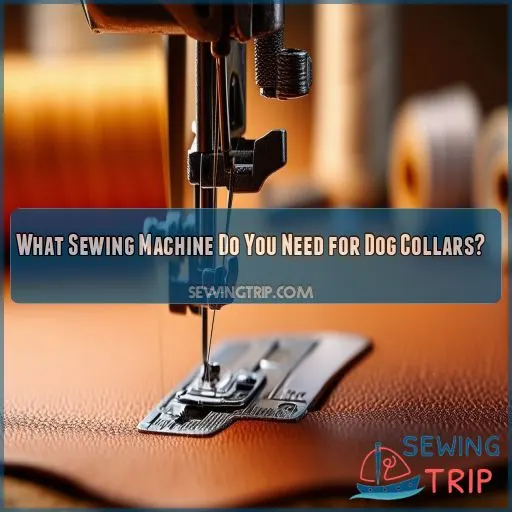 What Sewing Machine Do You Need for Dog Collars