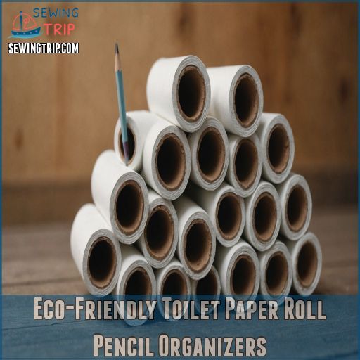 Eco-Friendly Toilet Paper Roll Pencil Organizers