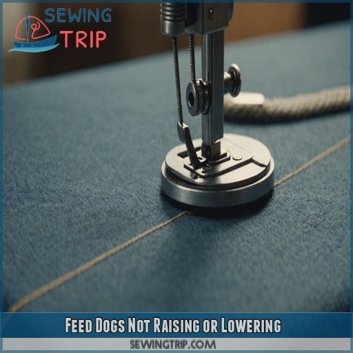 Feed Dogs Not Raising or Lowering Feed Dogs Not Raising or Lowering