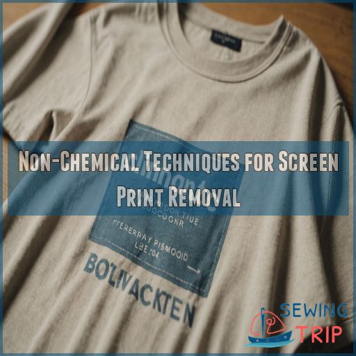 Non-Chemical Techniques for Screen Print Removal