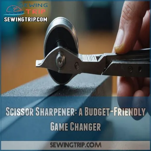 Scissor Sharpener: a Budget-Friendly Game Changer