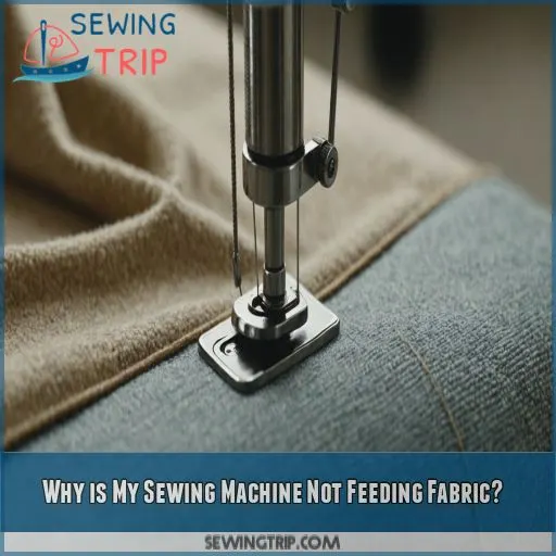 Why is My Sewing Machine Not Feeding Fabric