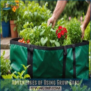 Advantages of Using Grow Bags