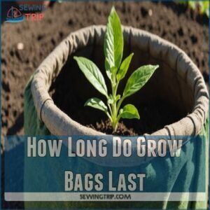 how long do grow bags last how long do grow bags last