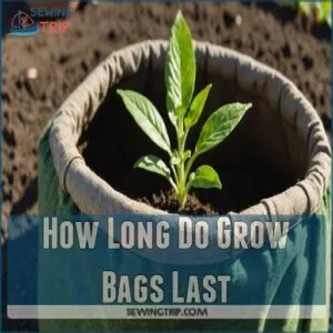 How Long Do Grow Bags Last