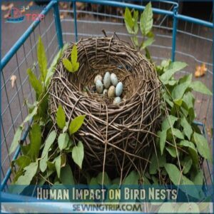 Human Impact on Bird Nests