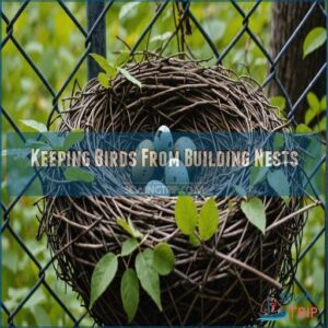 Keeping Birds From Building Nests